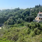 Sofia 别墅
